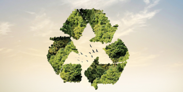 Sustainability First