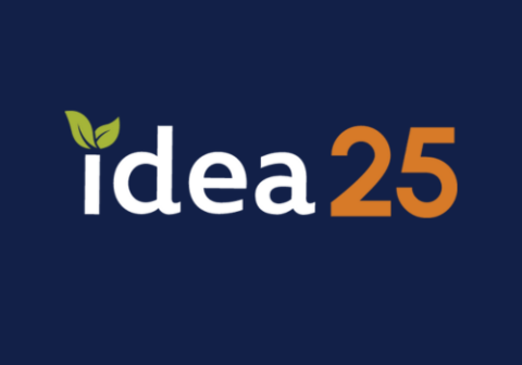 IDEA 2025